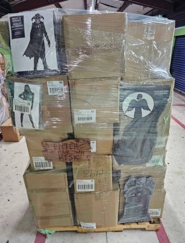 FB_IMG_1760717926425 Halloween costume