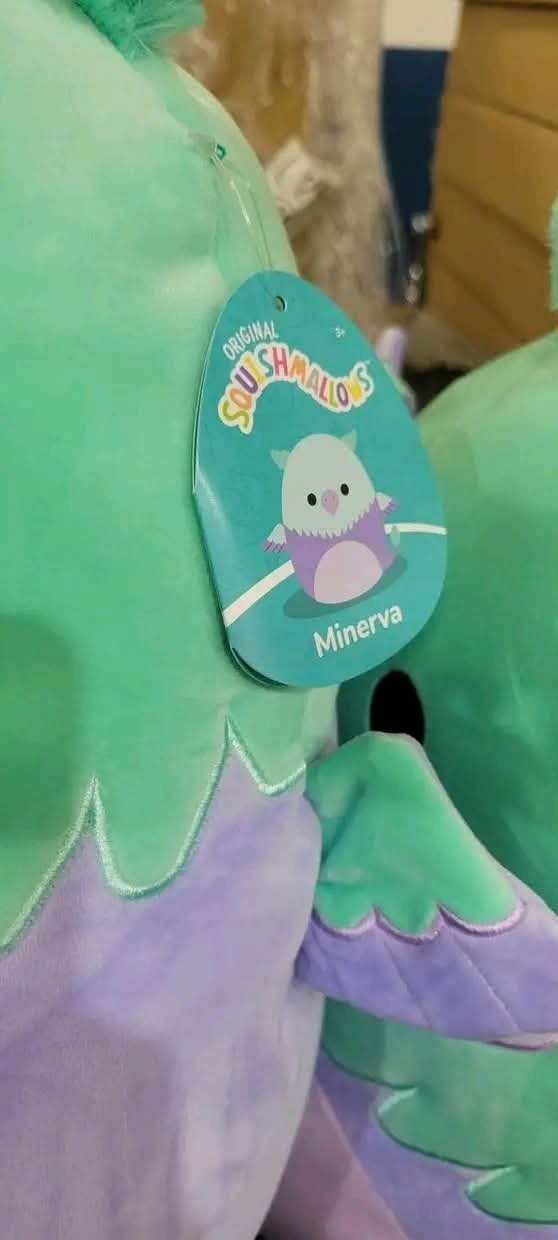 FB_IMG_1761471944697 SQUISHMALLOWS PALLET