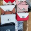 FB_IMG_1770112735860 Females Handbags