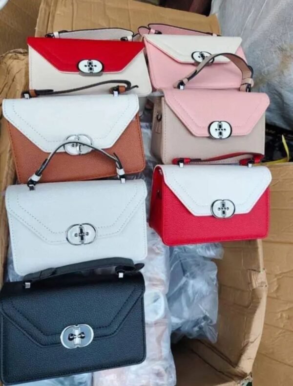 FB_IMG_1770112735860 Females Handbags