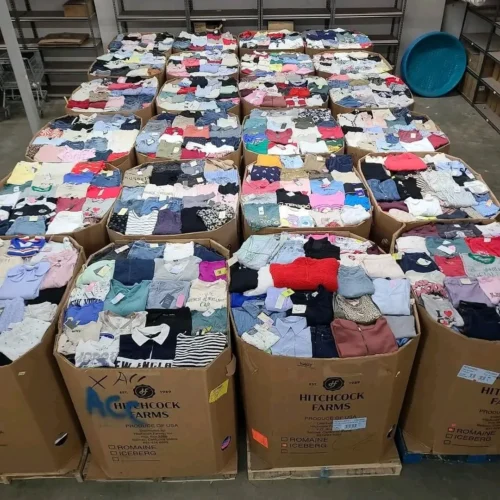 palletliquidationdepots_20260114_p_3809957104371686558_1_3809957091956551051 TARGET WOMEN’S CLOTHING PALLETS!